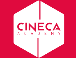 CINECA GPU HACKATHON 2024